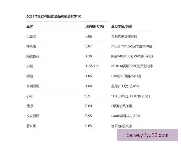 聚焦2026世界杯排名格局变化与豪强黑马实力全面前瞻解析深度
